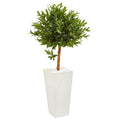 4' Olive Topiary Artificial Tree In White Planter Uv Resistant (Indoor/Outdoor)