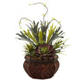 Succulent Garden w/Decorative Planter