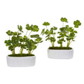 10"  Clover Artificial Plant in White Planter (Set of 2)
