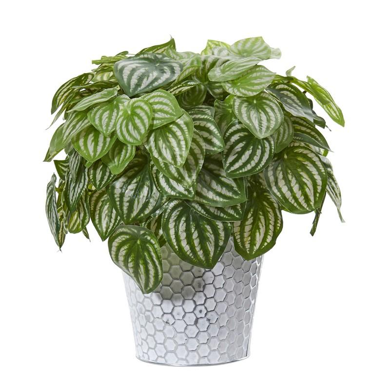 14"  Watermelon Peperomia Artificial Plant in White Embossed Planter