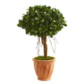 3' Ficus Artificial Tree in Terra Cotta Planter