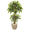55' Variegated Ficus Artificial Tree in Sandstone Planter