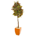 6' Croton Artificial Tree in Orange Planter