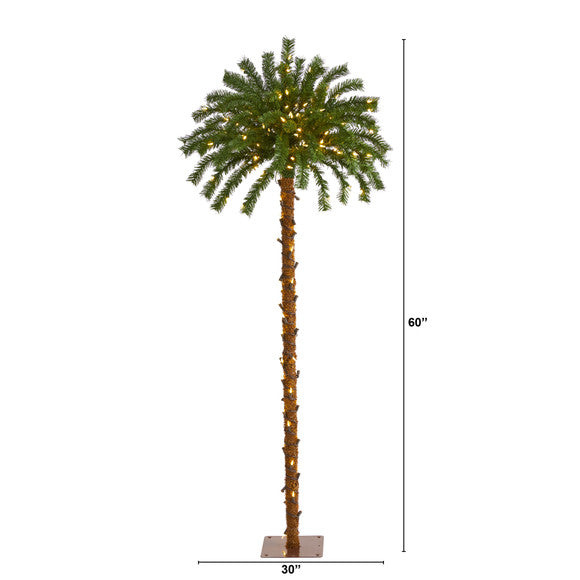 5' Christmas Palm Artificial Tree with 150 Warm White LED Lights