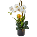 Orchid and Bromeliad in Glossy Black Cylinder