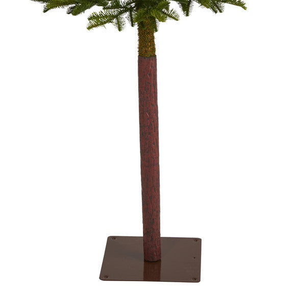 6' Alaskan Alpine Artificial Christmas Tree with 100 Clear Microdot