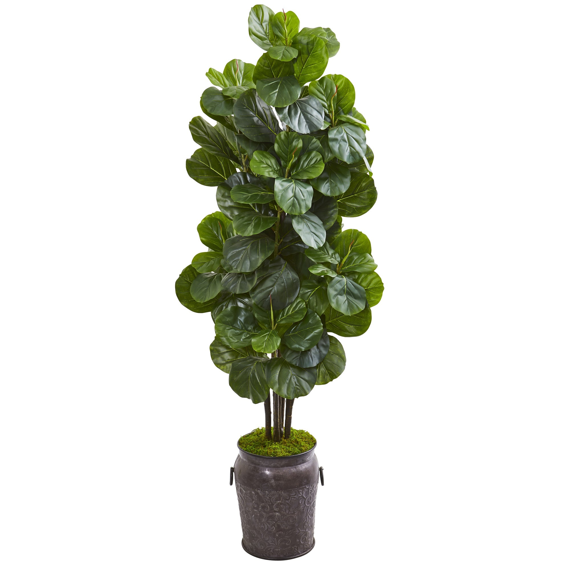 6' Fiddle Leaf Fig Artificial Tree in Metal Planter