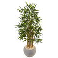 4' Bamboo Tree in Sand Colored Bowl