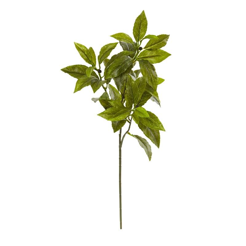26"  Coffee Leaf Artificial Plant (Set of 12) (Real Touch)