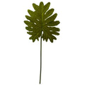 Selloum Philo Single Leaf Stem (Set of 12)