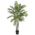 6' Areca Palm Silk Tree