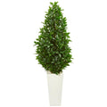 63" Bay Leaf Cone Topiary Artificial Tree in White Planter UV Resistant