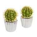 8"  Cactus Artificial Plant in Decorative Planter (Set of 2)