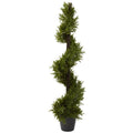 39"  Rosemary Spiral Tree (In-door/Out-door)
