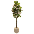 70"  Variegated Rubber Leaf Artificial Tree in Sandstone Planter (Real Touch)