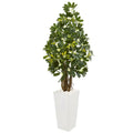 5' Schefflera Artificial Tree in White Tower Planter