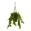 34"  Peperomia Artificial Plant in Hanging Basket (Real Touch)