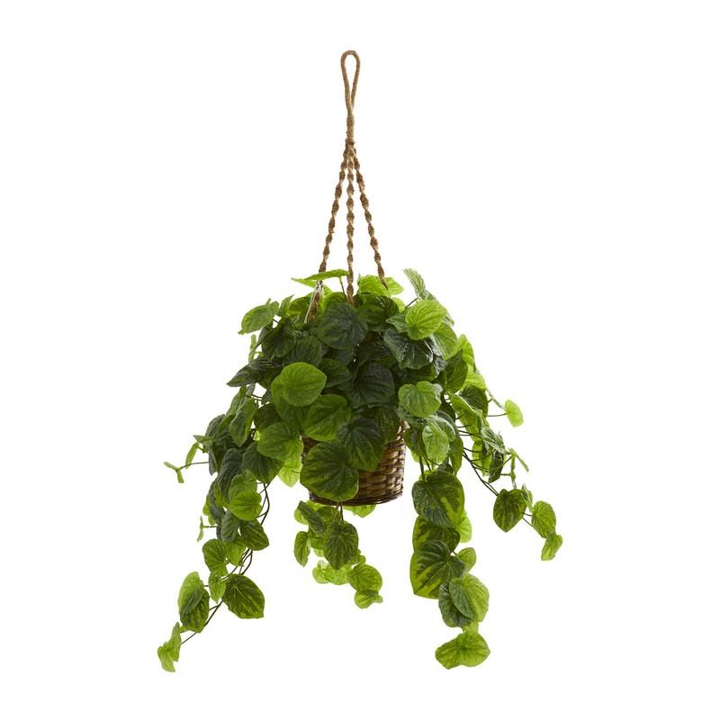 34"  Peperomia Artificial Plant in Hanging Basket (Real Touch)
