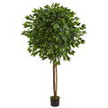 6.5' Ficus Artificial Tree 5571 By Nearly Natural