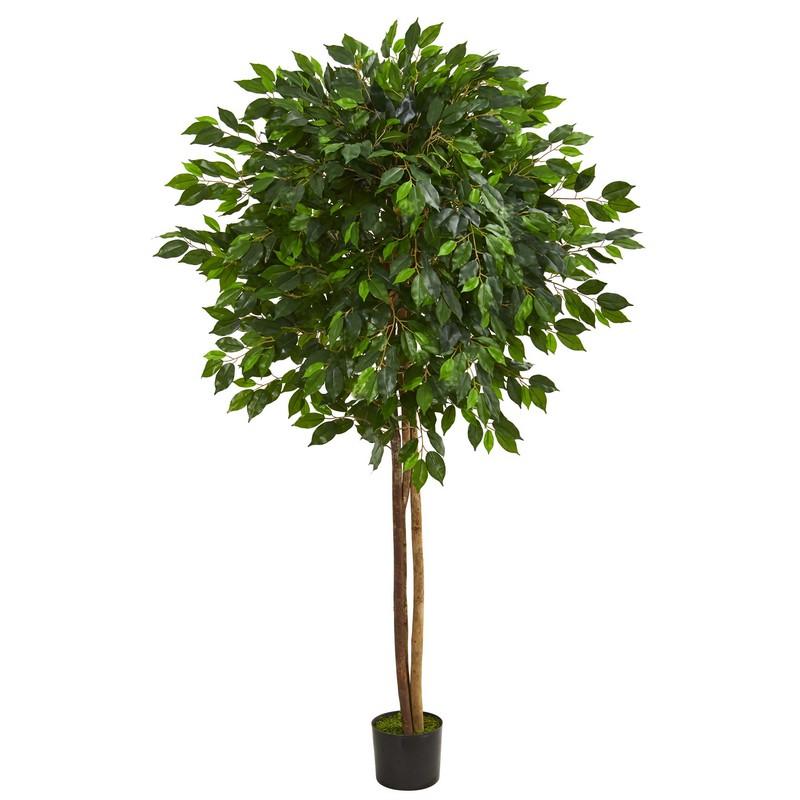 6.5' Ficus Artificial Tree 5571 By Nearly Natural