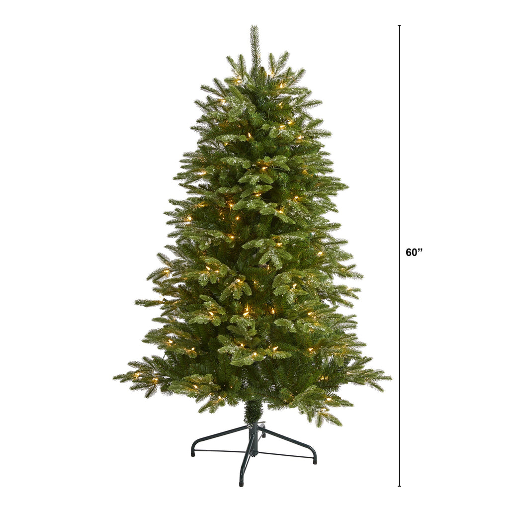5' Snowed Grand Teton Artificial Christmas Tree with 150 Clear Lights