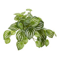 11"  Watermelon Peperomia Hanging Artificial Bush Plant (Set of 12) (Real Touch)