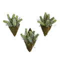 8"  Sedum Succulent Artificial Wall Decor Plant (Set of 3)