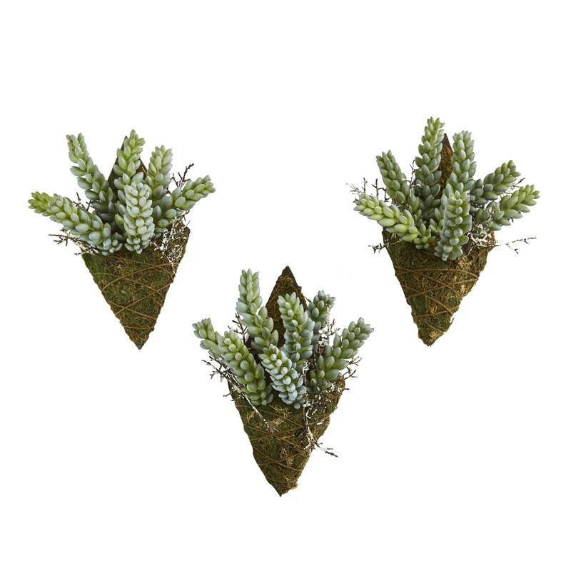 8"  Sedum Succulent Artificial Wall Decor Plant (Set of 3)