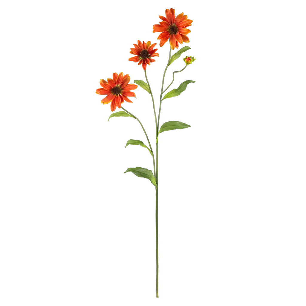 28.5" Cosmo Stem (Set of 12)