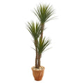 65"  Yucca Rostrara Artificial Tree in Terra Cotta Planter