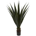 52"  Giant Agave Plant