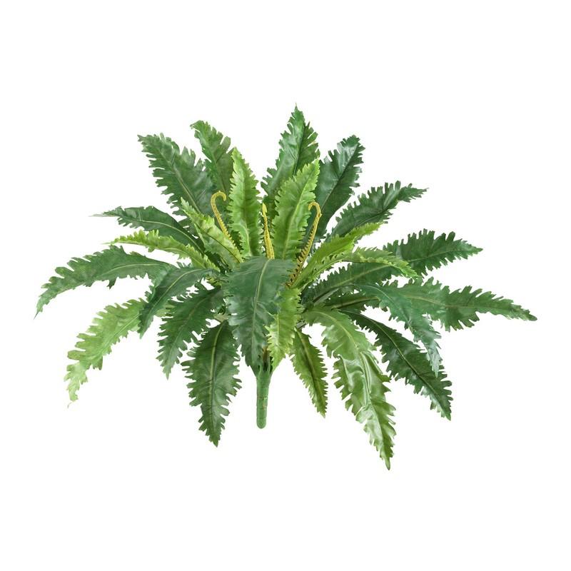 24" Marginatum Artificial Plant (Set of 3)