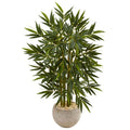 4' Bamboo Tree in Sand Colored Bowl