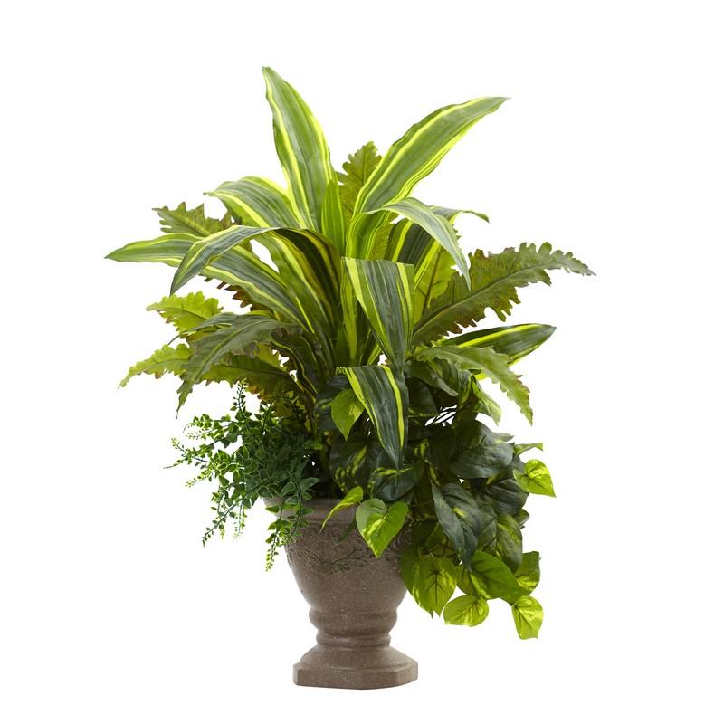 25"  Mixed Yucca, Marginatum, Pothos & Bracken w/Planter