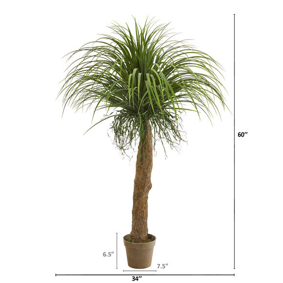 5' Molina Artificial Plant