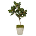 42" Magnolia Leaf Artificial Tree In Country White Planter