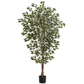 6' Hawaiian Ficus Tree x 3 w/1008 Lvs