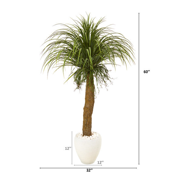 5' Pony Tail Palm Artificial Plant in White Planter