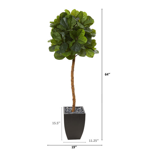 64" Fiddle Leaf Artificial Tree in Black Planter (Real Touch)