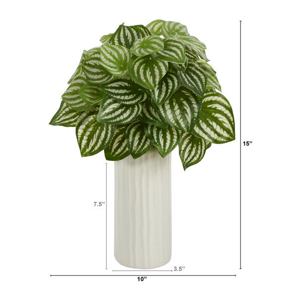 15" Watermelon Peperomia Artificial Plant in White Planter (Real Touch)