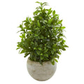 30' Coffee Leaf Artificial Plant in Sandstone Bowl (Real Touch)