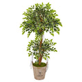 4.5' Variegated Ficus Artificial Tree in Farmhouse Planter