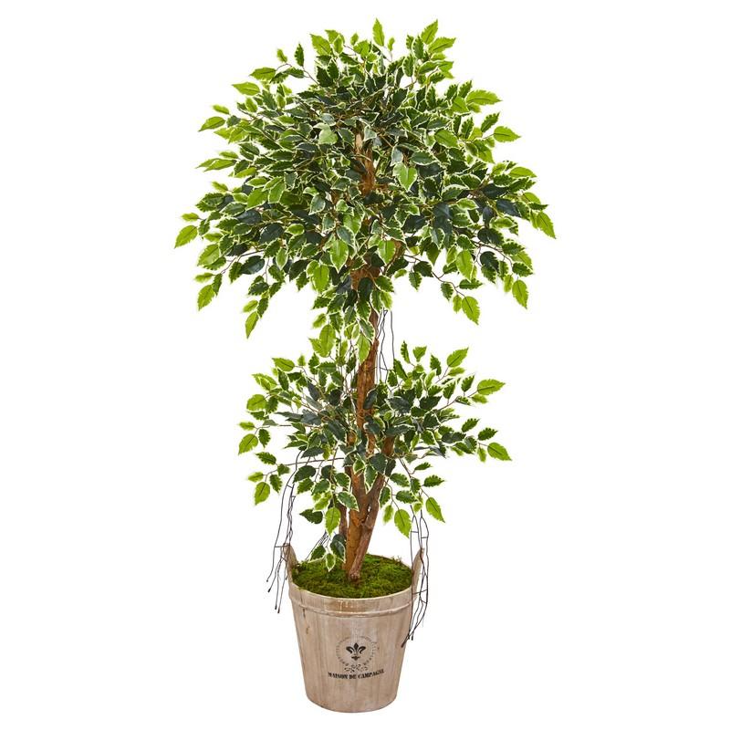 4.5' Variegated Ficus Artificial Tree in Farmhouse Planter