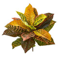 21"  Garden Croton Artificial Plant (Real Touch) (Set of 4)