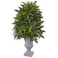 Bracken Fern with Urn