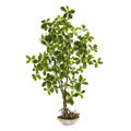 4' Schefflera Bonsai Artificial Plant in Planter