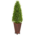 4' Eucalyptus Cone Topiary Artificial Tree in Decorative Planter