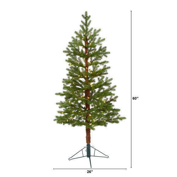 5' Fairbanks Fir Artificial Christmas Tree with 150 Clear Warm LED Lights