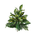 25" Mixed Greens Artificial Plant (Set of 2)