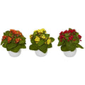 8"  Kalanchoe Artificial Plant in White Vase (Set of 3)
